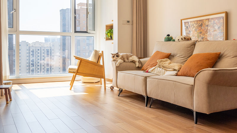 養寵家庭的首選！與天格一起打造寵物友好型家居